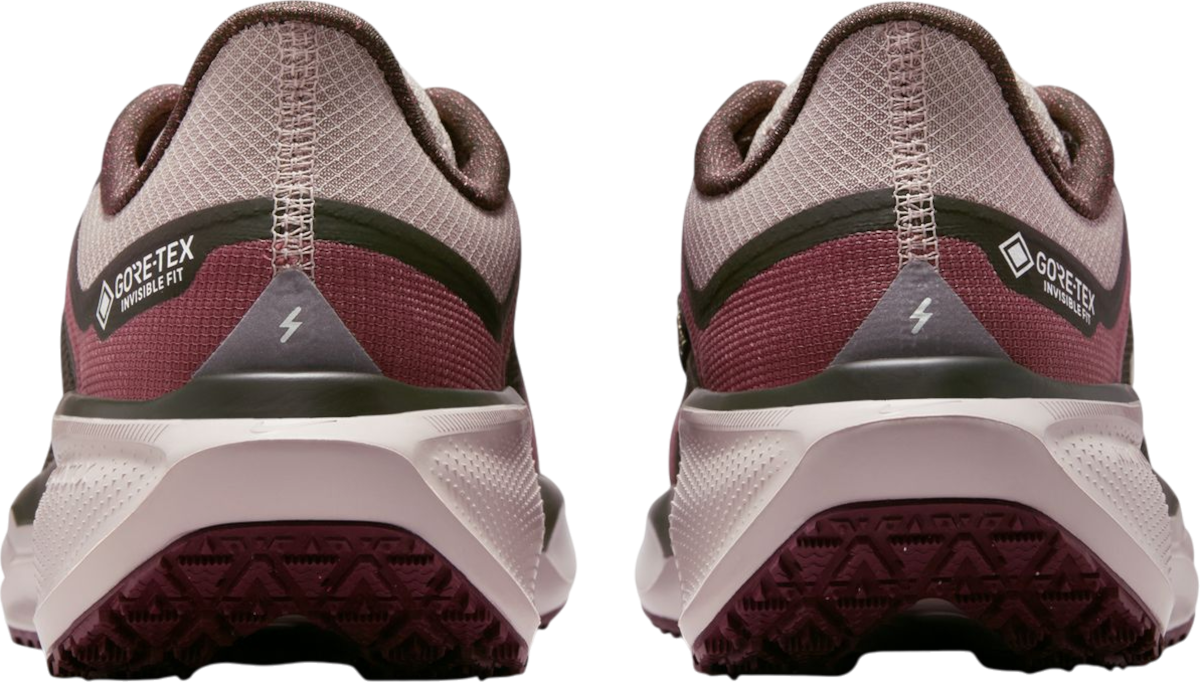 Sneakers och skor Nike Pegasus 41 GORE-TEX Bourgogne | fq1357-200, 1