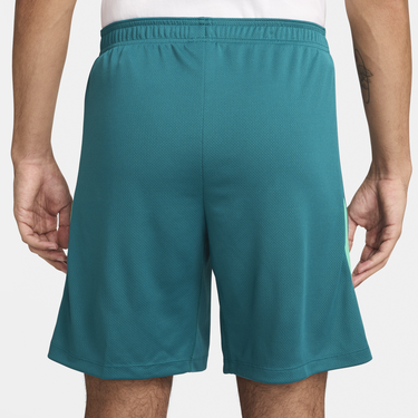 Shorts Nike Dri-FIT Portugal Strike Grön | FJ2204-381, 3