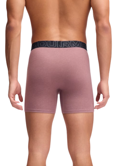 Boxare Under Armour Under Armour SOLID 6in 3 Pack Boxer Shorts Flerfärgad | 1383889-651, 4