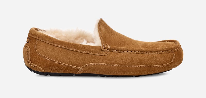 Sneakers och skor UGG ® Ascot Slipper in Brown, Size 10, Leather Brun | 1101110W-CHE