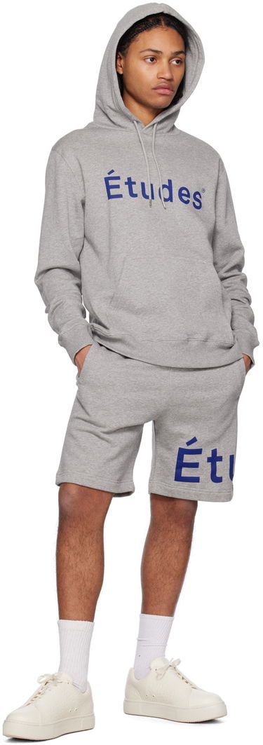 Sweatshirt Études Klein Hoodie Grå | C00ME250A02282, 3