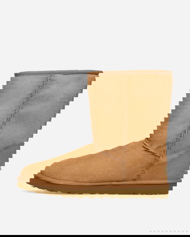 Sneakers och skor UGG Classic Chestnut Brun | 5800-CHE, 3