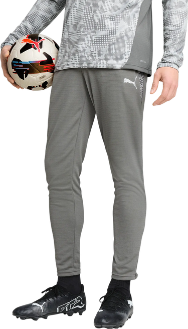 Träningsbyxor Puma teamCUP Training Pants Grå | 659175-13, 2