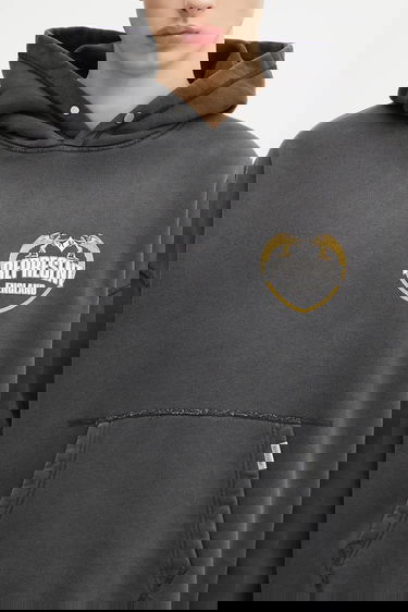 Sweatshirt Represent Clo Represent Legacy Crest Hoodie Grå | MLM100368, 3