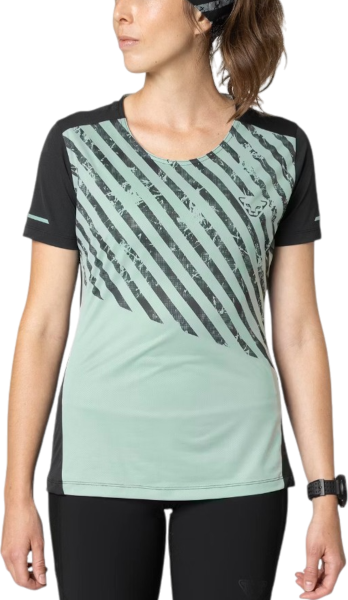 T-shirt Dynafit Dynafit Alpine 2 Short Sleeve T-Shirt Grön | 08-0000071457-5421, 0