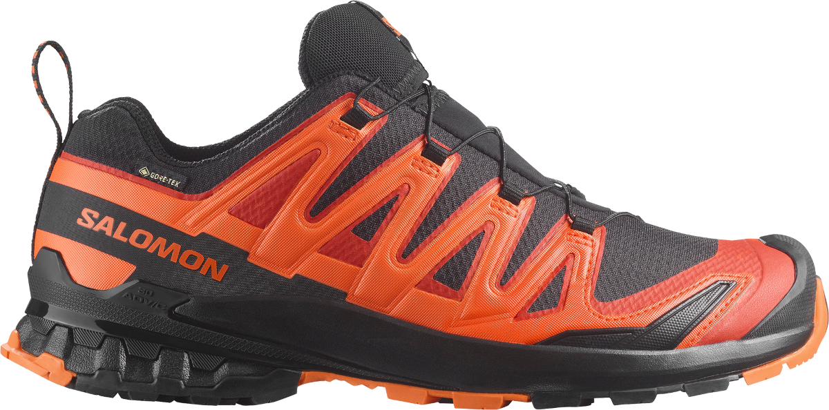 Sneakers och skor Salomon Salomon XA PRO 3D V9 GTX Orange | l47961000, 0