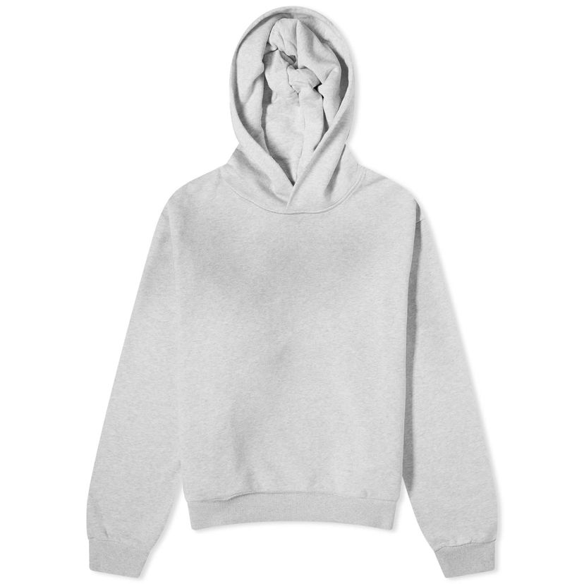 Sweatshirt Acne Studios Franziska 1996 Hoodie "Pale Grey Melange" Grå | CI0159-92H