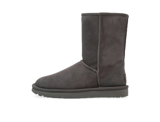 Sneakers och skor UGG Classic Short Grå | 1016223