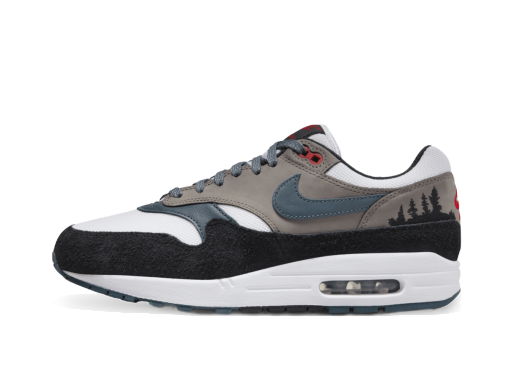 Sneakers och skor Nike Air Max 1 PRM "Slate Blue" Grå | FJ0698-100