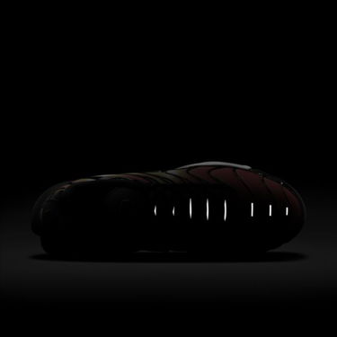 Sneakers och skor Nike Air Max Plus Orange | DR8581-800, 1