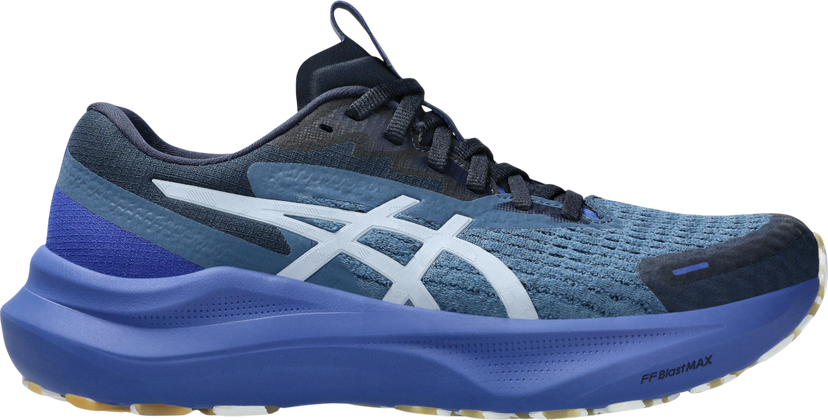 Sneakers och skor Asics GT-2000 14 LITE-SHOW Blå | 1012b901-400