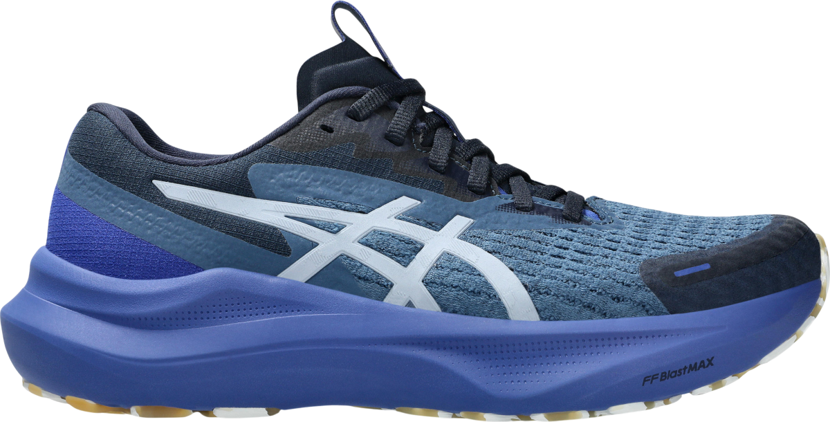 Sneakers och skor Asics GT-2000 14 LITE-SHOW Blå | 1012b901-400, 0