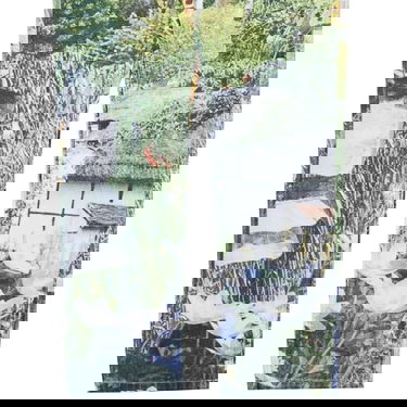 Jeans Pleasures Garden 5 Pocket Denim Pants Grön | P22W042-MULTI, 7