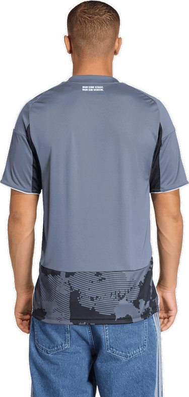 Jersey adidas Originals Eintracht Frankfurt 3rd Jersey 2025/26 Grå | kk6442, 5