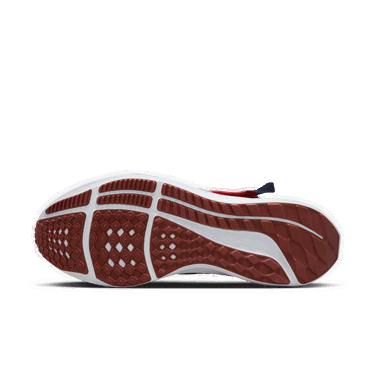 Sneakers och skor Nike Pegasus FlyEase Röd | DJ7381-601, 3