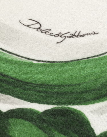 Heminredning Dolce & Gabbana Dolce & Gabbana Silk And Wool Floral Scroll Blanket Grön | TCE012TCAB6UV013, 2