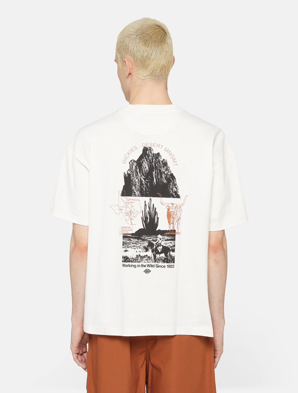 T-shirt Dickies Pearisburg T-Shirt Vit | 0A4YRK, 0