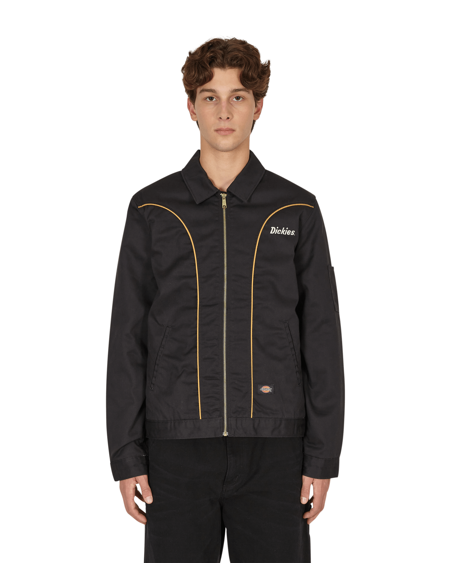 Jacka Dickies Bettles Jacket Svart | DK0A4XFV BLK1, 1