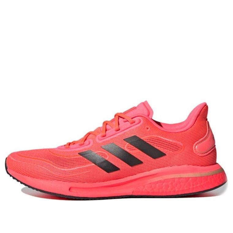 Sneakers och skor adidas Performance Supernova Röd | FV6032