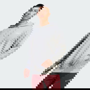 Sweatshirt adidas Performance Terrex Logo Grå | IB6564, 0