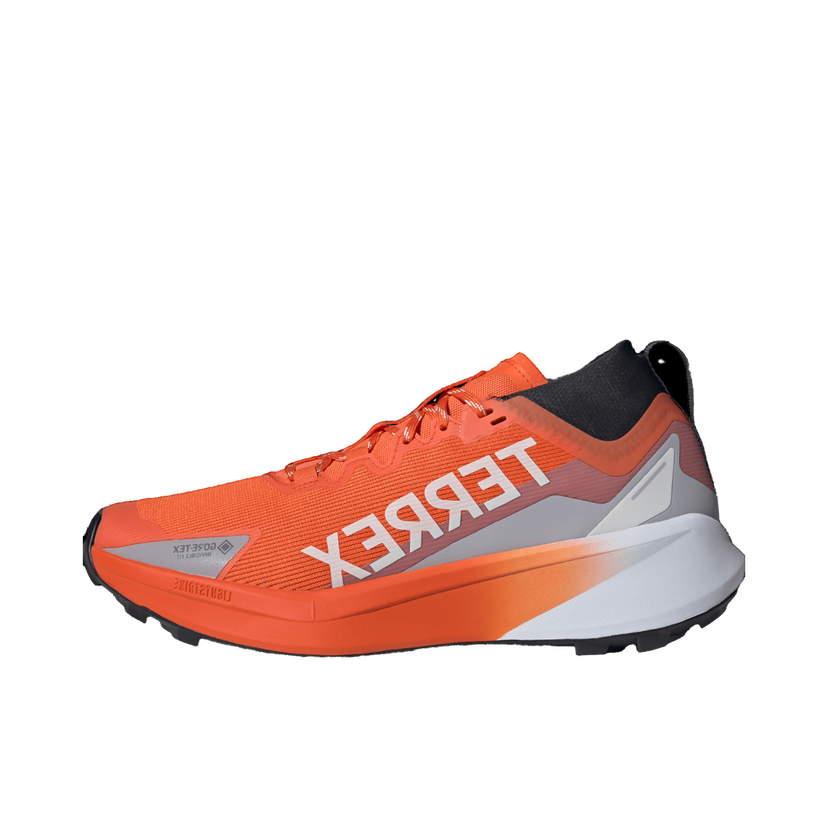 Sneakers och skor adidas Performance Terrex Agravic GTX Orange | jr5241