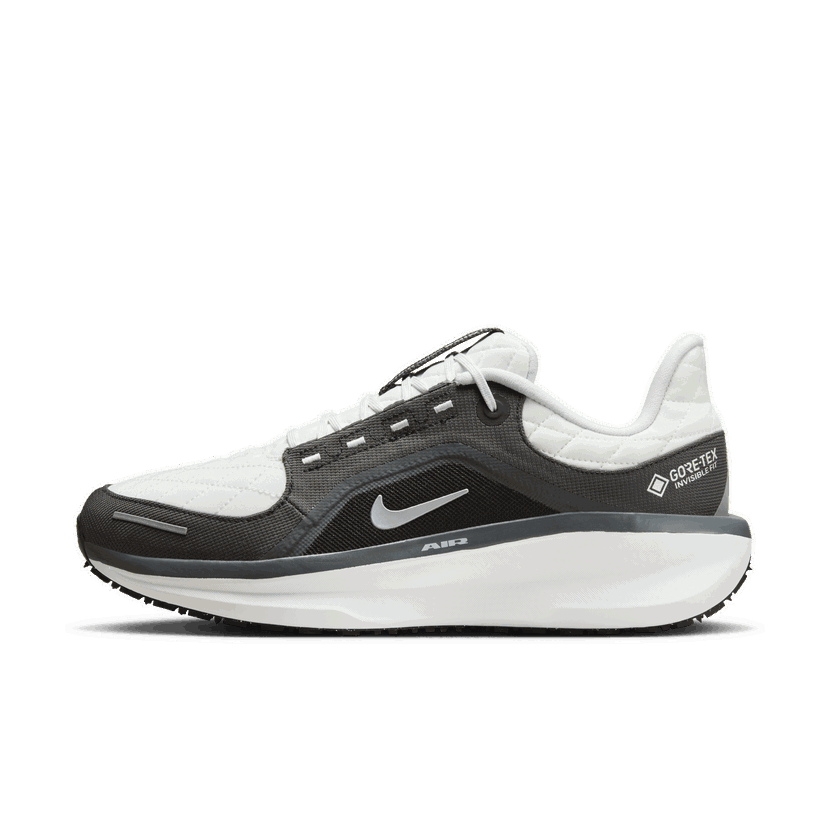 Löpning Nike Winflo 11 GORE-TEX Grå | FQ1358-004