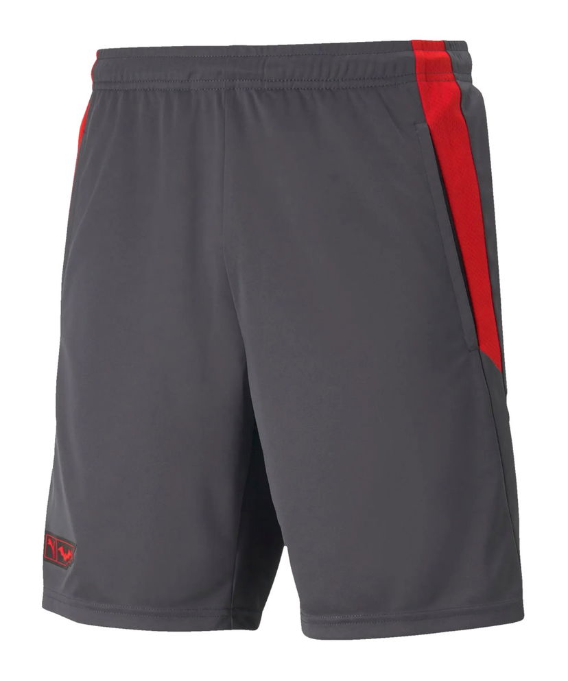 Shorts Puma Batman Athletic Shorts Grå | 65802604