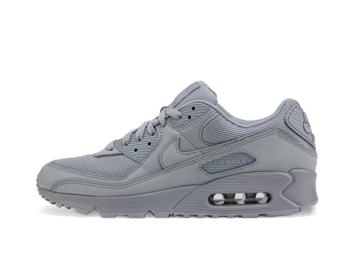 Sneakers och skor Nike Air Max 90 Grå | CN8490-001