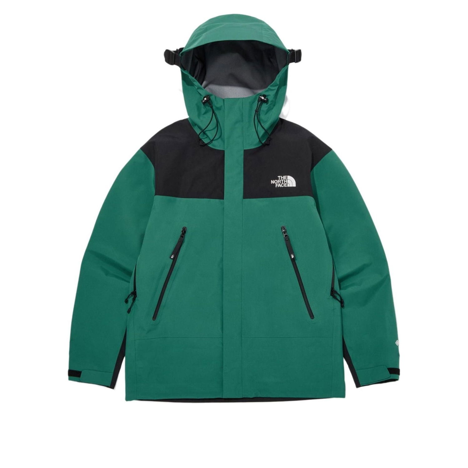 Parkas The North Face Gore-Tex Mountain 3L Jacket Grön | NJ2GQ01C, 0