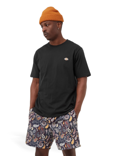 T-shirt Dickies MAPLETON TEE Svart | 194903388614