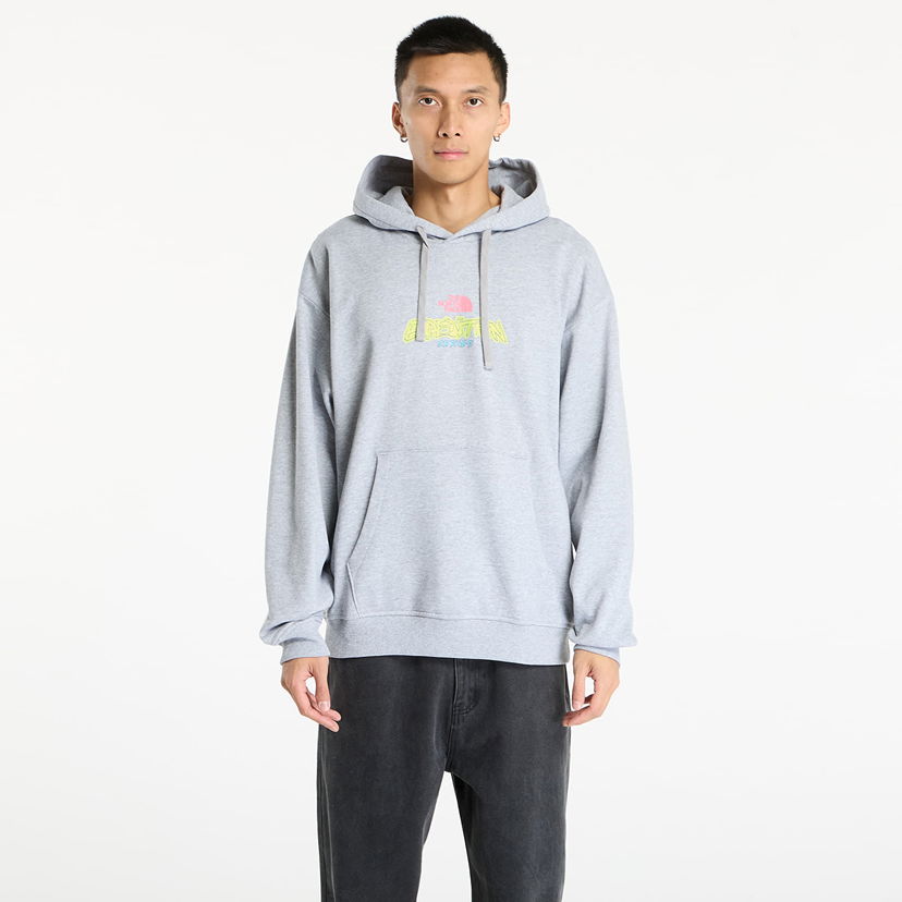 Sweatshirt The North Face Expedition Celebration Oversized Hoodie Grå | NF0A8E3FDYX1