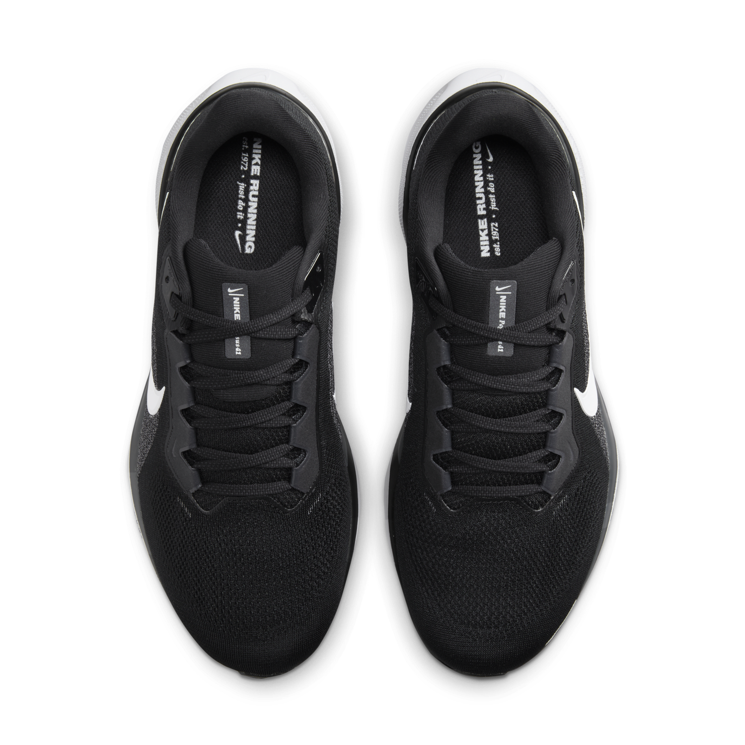 Sneakers och skor Nike Pegasus 41 Extra Wide Svart | FN4932-002, 1