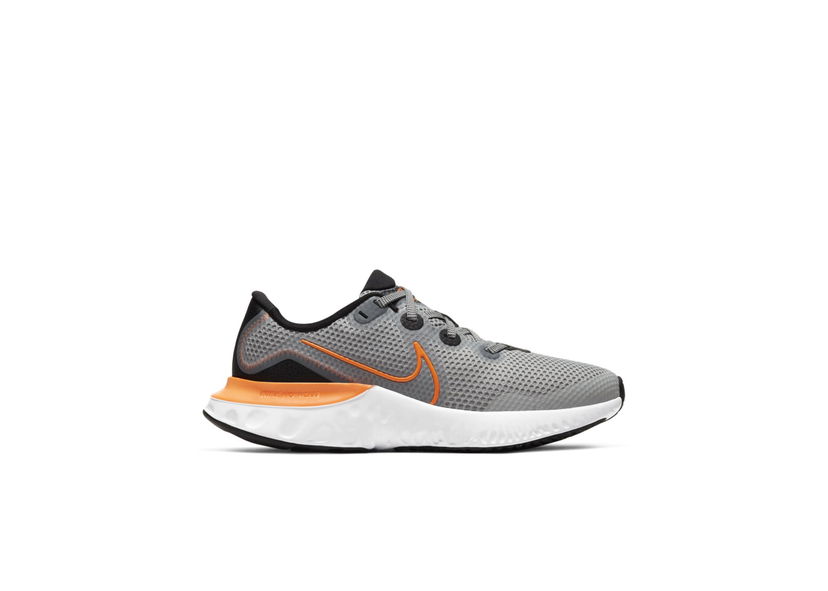 Sneakers och skor Nike Renew Run Grå | CT1430-070