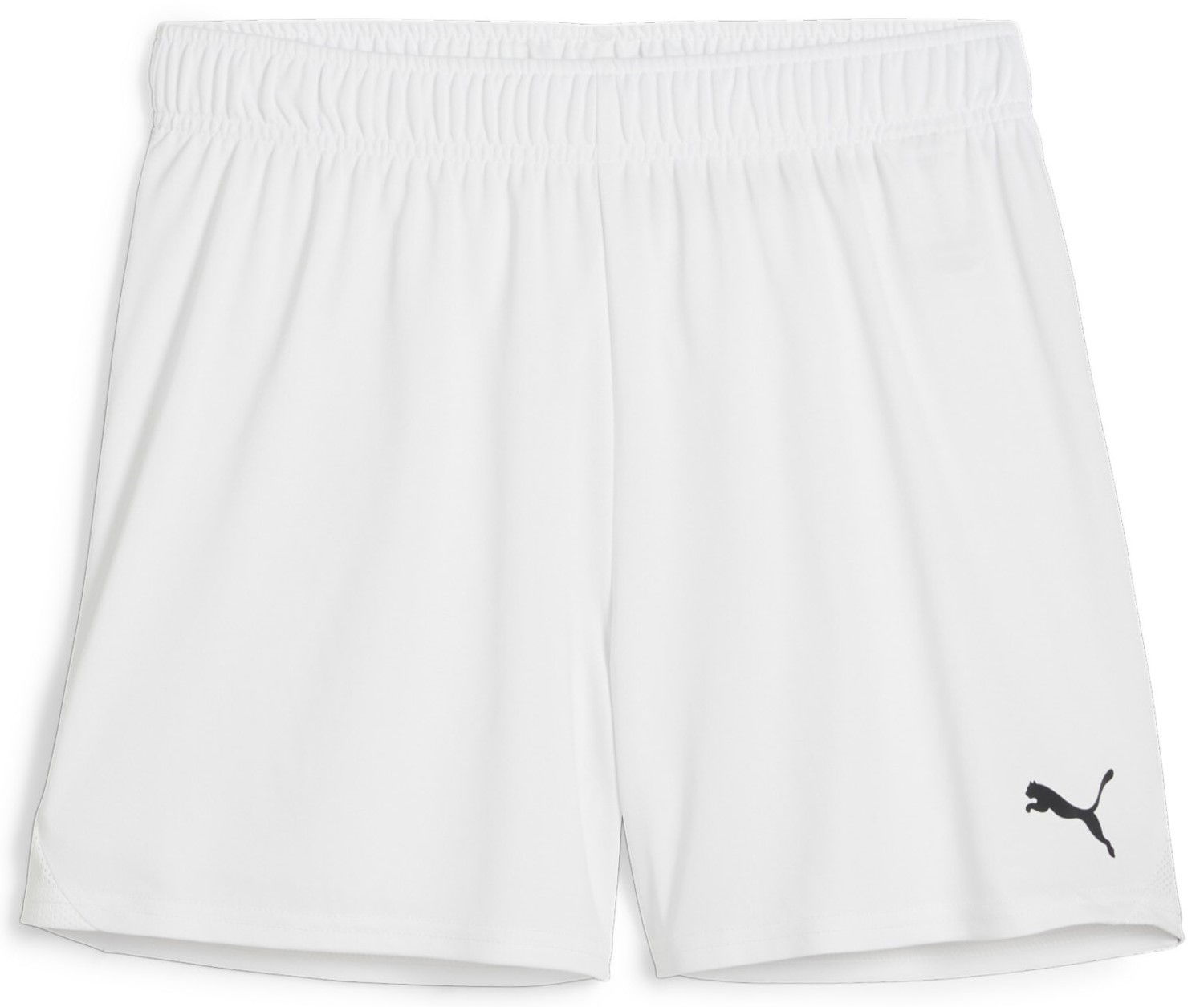 Shorts Puma teamGOAL Shorts Wmns Vit | 705754-04, 0