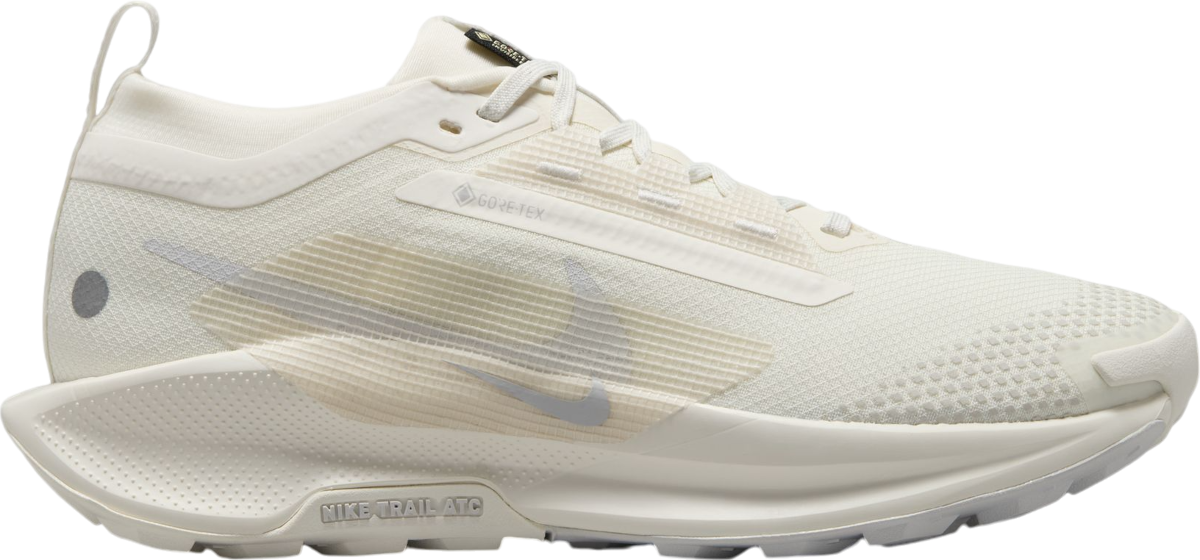 Sneakers och skor Nike Pegasus Trail 5 GORE-TEX Beige | fq0912-102, 0