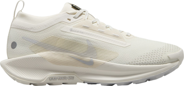 Sneakers och skor Nike Pegasus Trail 5 GORE-TEX Beige | fq0912-102, 0