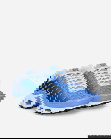 Sneakers och skor Nike Air Max Plus Royal Pulse Blå | DM0032-403, 2