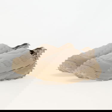 Sneakers och skor adidas Performance Terrex Winter Slip On Cold.Rdy Wonder Beige/ Wonder Beige/ Aluminium Beige | ID3443, 5