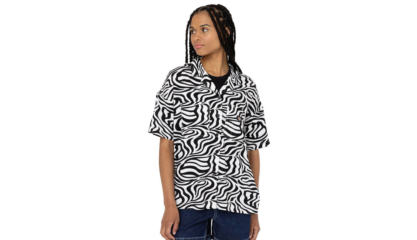 T-shirt Dickies Leesburg Cloud Zebra Flerfärgad | DK0A4Y7TF31, 0