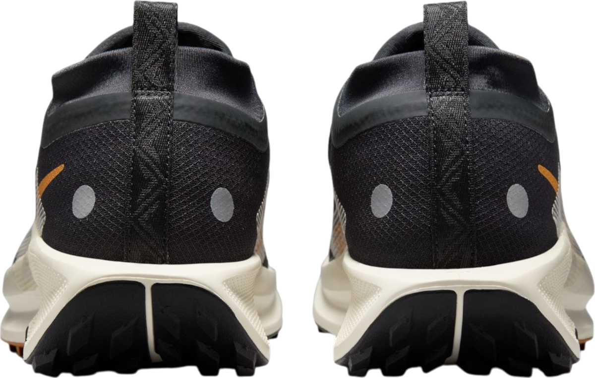 Sneakers och skor Nike Pegasus Trail 5 GORE-TEX Svart | fq0908-007, 1