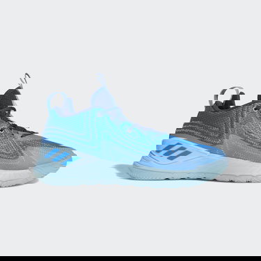 Sneakers och skor adidas Originals D Rose "Son of Chi" Blå | GY6494, 0