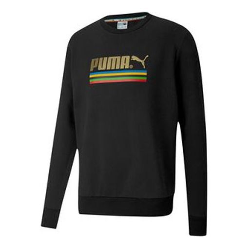 Sweater Puma Unity World Resonance Crewneck Sweatshirt Svart | 599285-01