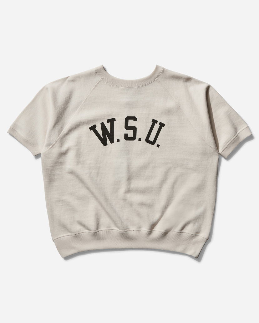 Sweater Champion Short Sleeve Crewneck Sweatshirt Beige | C3B005 X020