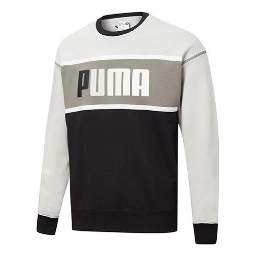 Sweater Puma Retro Regular Fit Sweatshirt Grå | 530710-01