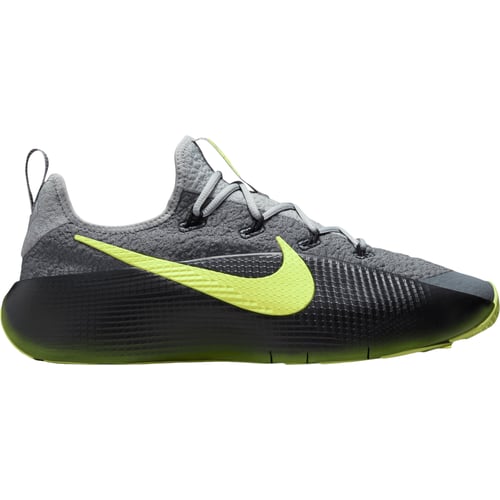 Basketboll Nike Lebron Royalty Tr Grå | FJ6151-001