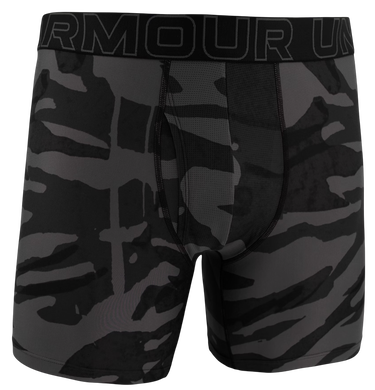 Boxare Under Armour Under Armour Graphic 6" Boxer Shorts Grå | 1383875-004, 0