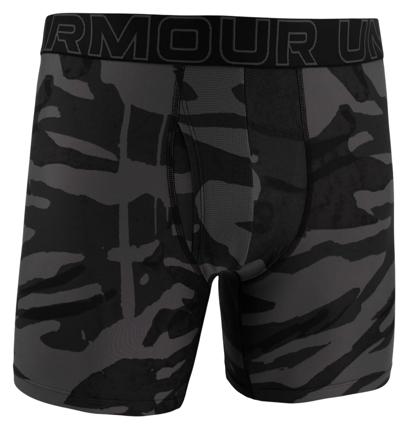 Boxare Under Armour Under Armour Graphic 6" Boxer Shorts Grå | 1383875-004