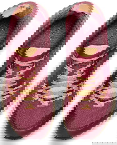 Sneakers och skor Craft ADV Nordic Speed 2 Bourgogne | 1912178-479211, 3