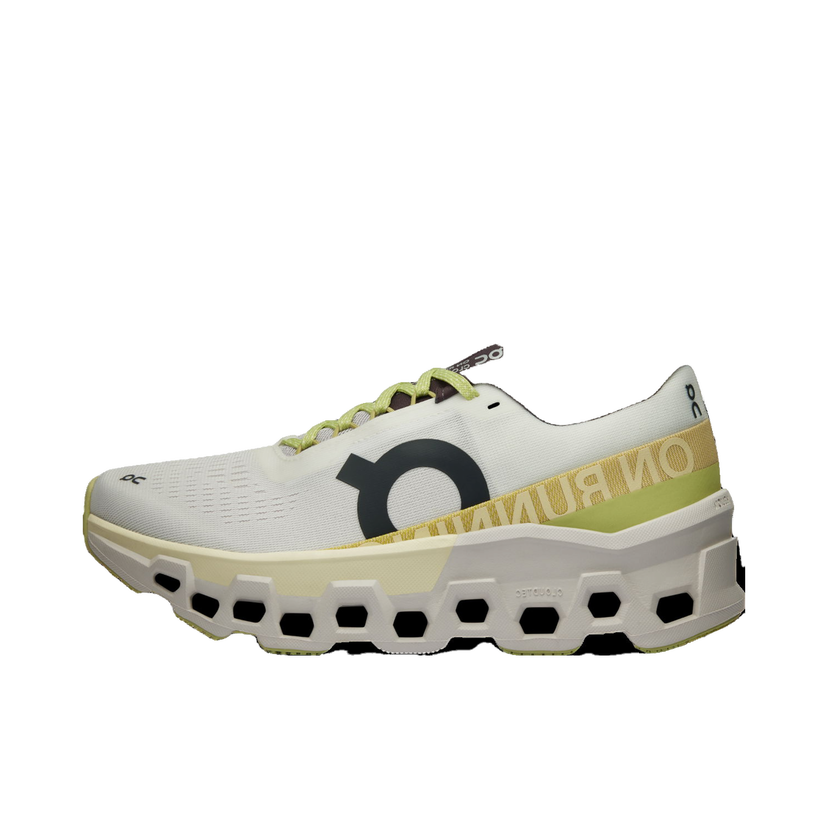 Löpning On Running Cloudmonster 2 Grå | 3we10112260