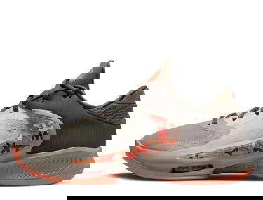 Sneakers och skor Nike Zoom Freak 4 Brun | DJ6149-003, 0